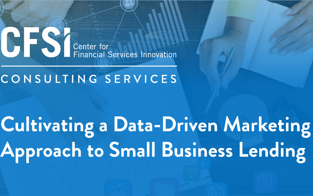 Case Study: Cultivating a Data-Driven Marketing Approach to Small Business Lending